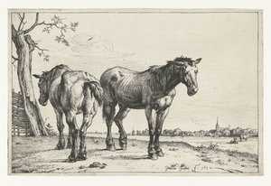 Deux chevaux de labour (Chevaux)