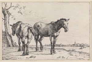  - Paulus Potter