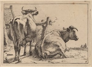 Deux vaches vues de dos - Paulus Potter