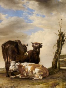 Deux vaches et un jeune taureau près d
