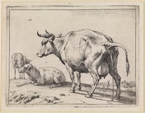  - Paulus Potter