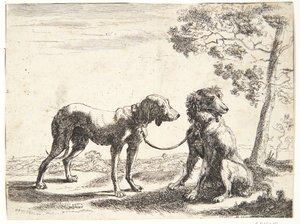 Deux chiens attachés ensemble