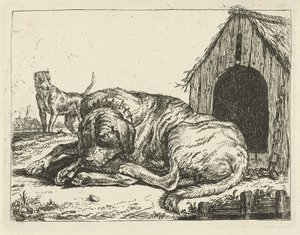Chien allongé enchaîné, Divers chiens (titre de la série) - Pauwels van Hillegaert