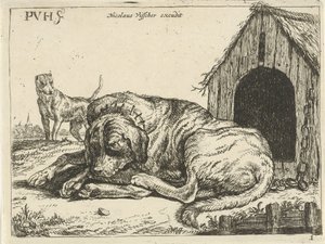 Chien couché enchaîné - Pauwels van Hillegaert