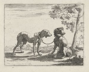 Deux chiens - Pauwels van Hillegaert