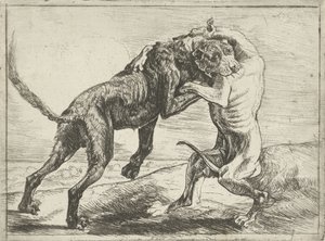 Deux chiens se battant