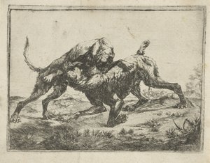 Chiens se battant