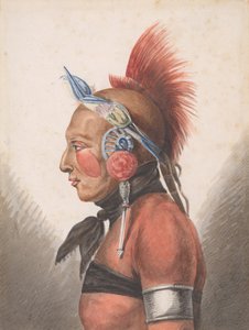 Un guerrier Osage - Pavel Petrovic Svin