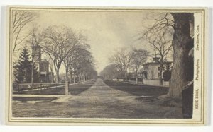 Avenue Hillhouse - Peck Brothers