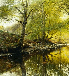 Paysage Fluvial Boisé