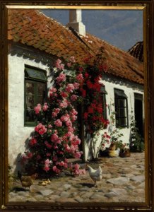 Roses grimpantes à la ferme - Peder Monsted