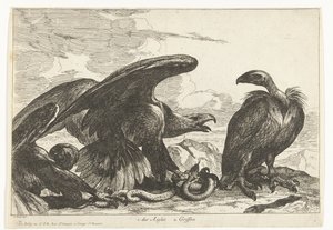 Vautour et aigle avec serpent