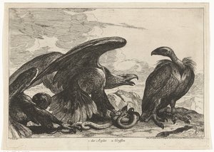 Vautour et aigle avec serpent