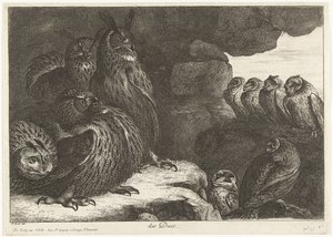Chouettes dans une grotte - Peeter Boel (attributed to)