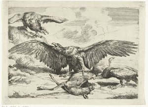 Trois aigles se battent pour un cerf mort Diversi uccelli (titre de la série)