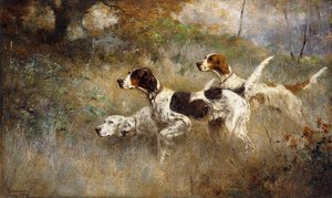Les Trois Setters, Bob, Bill et Ginger sur un Triple Point - Percival Leonard Rosseau