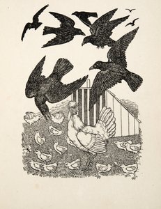 Un corbeau calculateur, de Cent anecdotes d