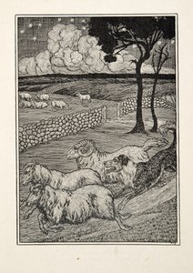Un voleur de moutons canin, de Cent anecdotes d