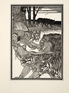 Une lionne reconnaissante, de Cent anecdotes d