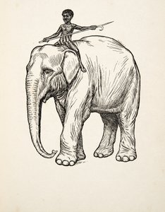 Remords, de A Hundred Anecdotes of Animals, pub. 1924