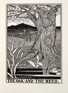 Le Chêne et le Roseau, des Fables de La Fontaine, pub. 1905 - Percy J. Billingshurst