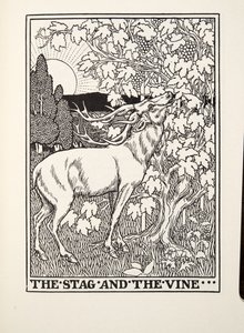 Le Cerf et la Vigne, des Fables de Fontaine, pub. 1905