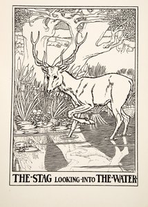 Le Cerf regardant dans l