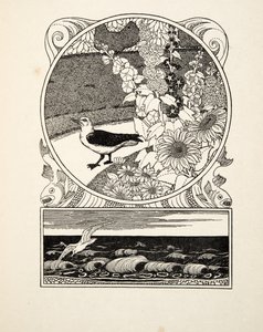 La mouette apprivoisée, de Cent anecdotes d