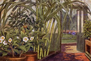 Canne à sucre, théier et caféier - Percy James Billinghurst