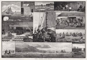Industries de la pêche, dragage des huîtres - Percy Robert Craft