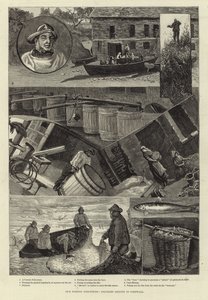 Nos industries de pêche : pêche à la senne des pilchards en Cornouailles