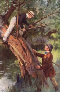 Maintenant, Descendez Immédiatement - Percy Tarrant