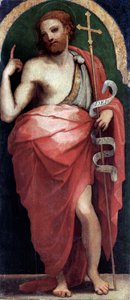 Saint Jean Baptiste, panneau latéral - Perino del Vaga