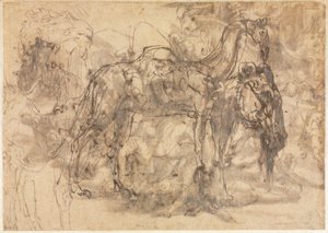 Croquis d