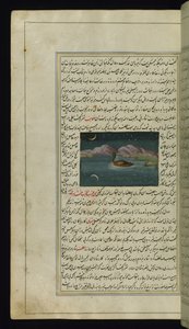 Une oie et le reflet de la lune dans l