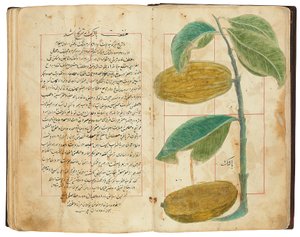 Hassan Bin Baqir Bin Jarrah: Gulzar Al-Rayahin, Qajar Iran - Persian School