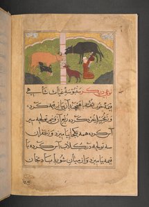 Illustration pour la traite des vaches du Ni