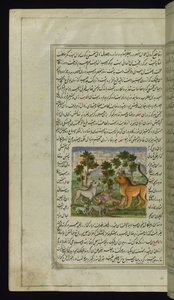 Lion et autres animaux des Lumières de Canopus