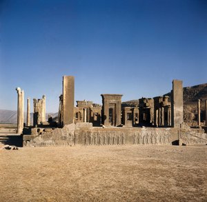 Palais de Darius I (550-486 av. J.-C.) à Persépolis (Iran), Site de l