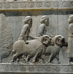 Les Sogdiens apportent des cadeaux à Darius I. Reliefs de l