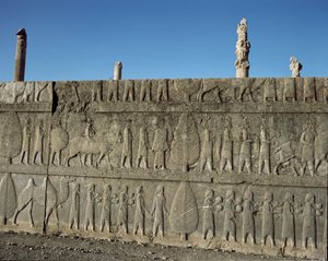 Peuples soumis offrant des cadeaux à Darius I. Reliefs de l