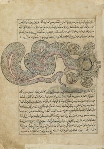 Le Serpent de Mer (al-Tannin), folio de Ajaib al-makhluqat (Merveilles de la Création) par al-Qazvini, Irak ou Turquie orientale - Persian School