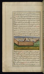 Deux pigeons et une réserve de grains des Lumières de Canopus