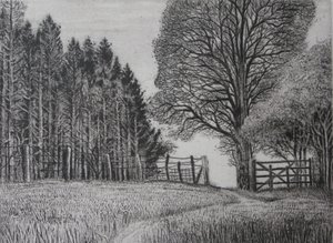 Le sentier de la forêt - Printemps - Peter A Ford