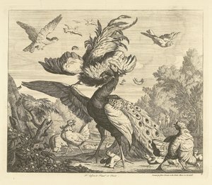Coq attaquant un paon (Verschillende vogels) - Peter Casteels (III)