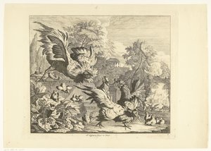 Combat de coqs