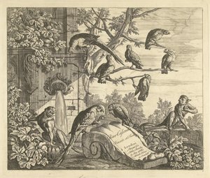 Perroquets et petits singes près d