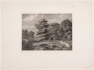 Rivière entre des rives boisées - Peter Christian Schøler