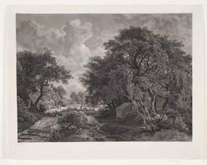 Chemin à travers un village avec de grands arbres