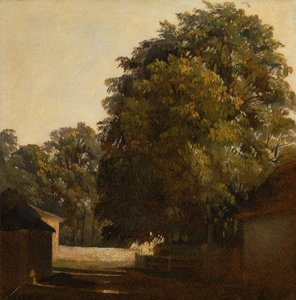 Paysage avec châtaignier